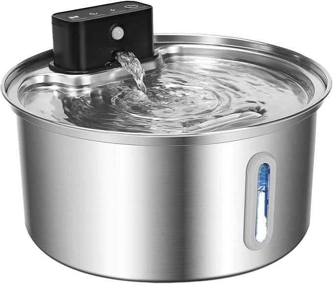 Water Fountain