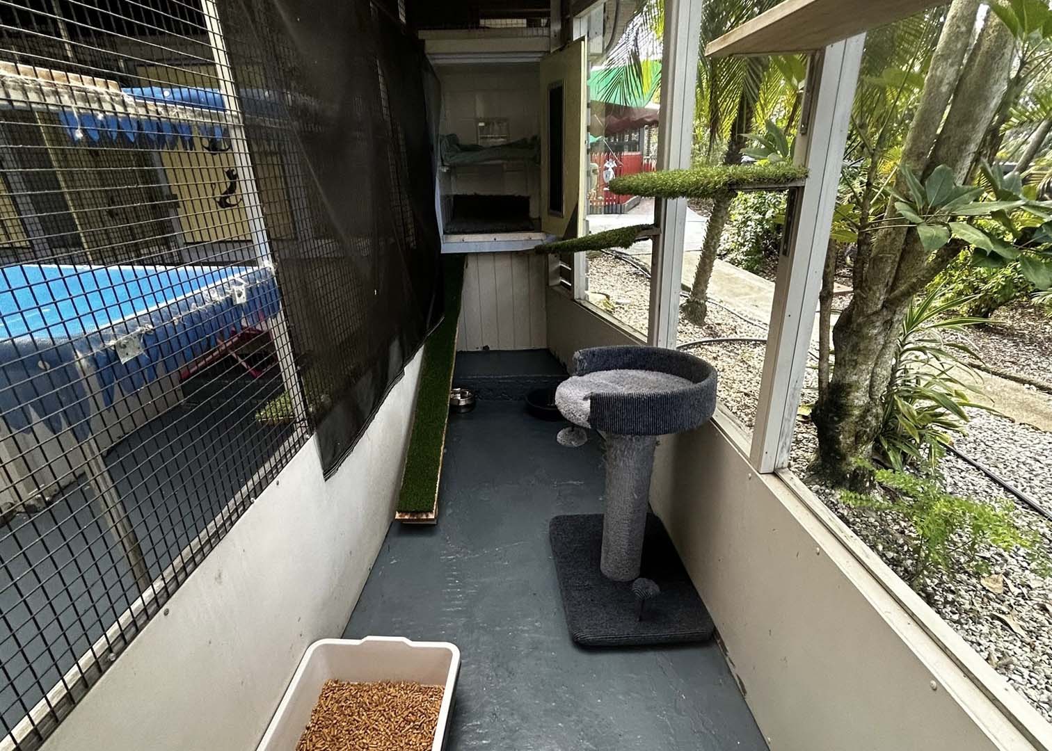 budget room