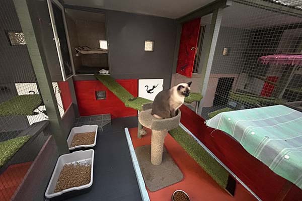 Modest Suites